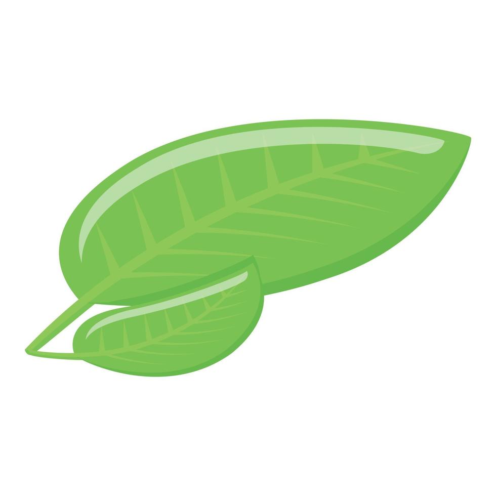 Tea leaf icon, isometric style vector