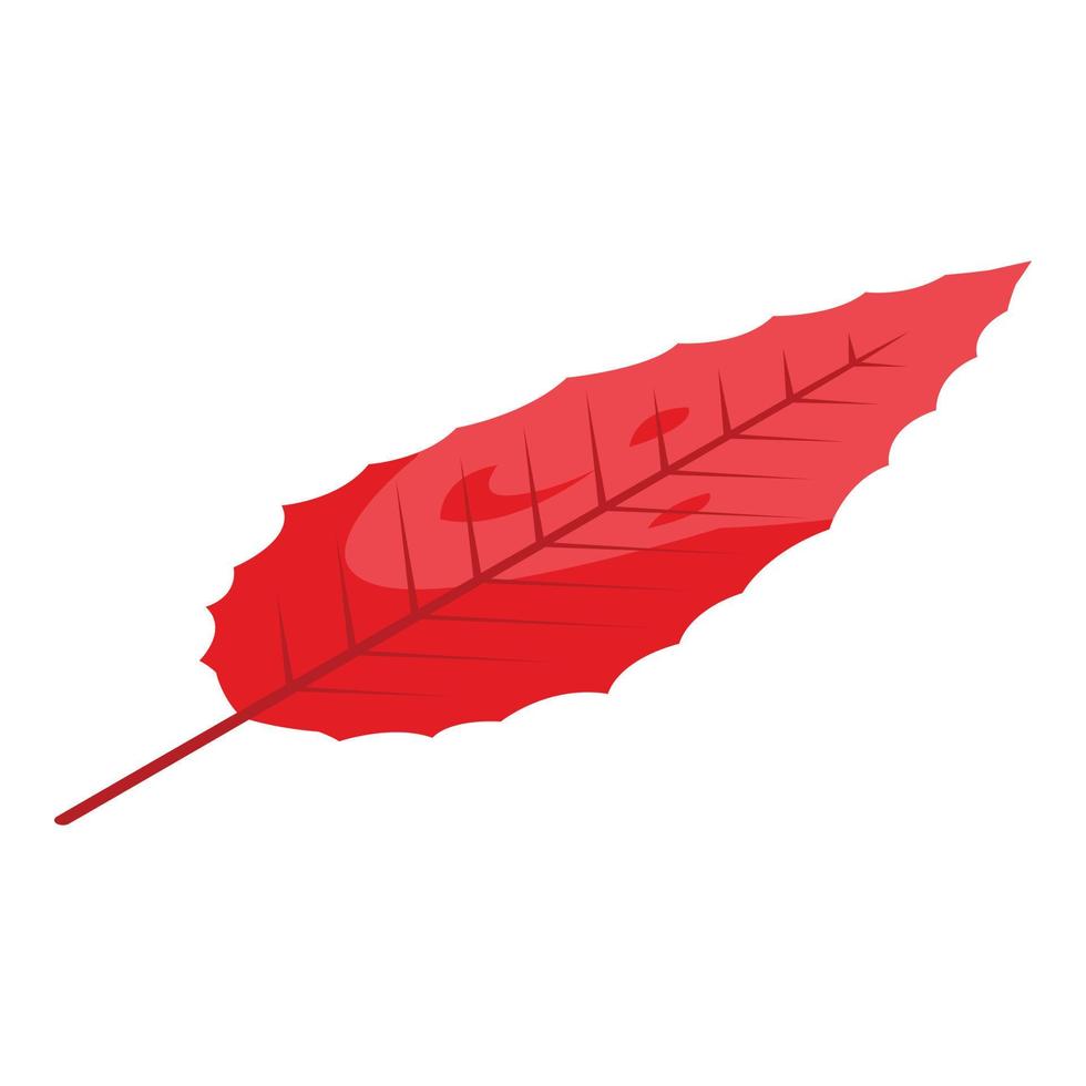 Leaf in fall icon, isometric style vector