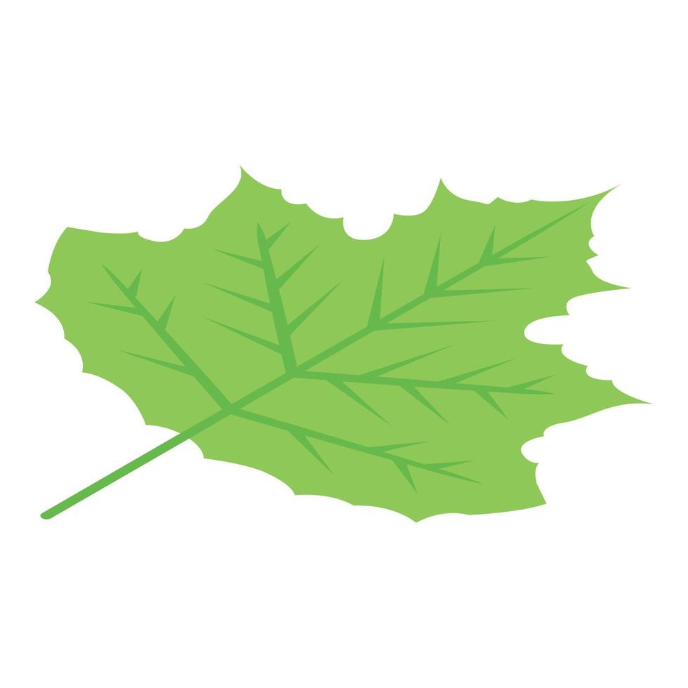 Tree foliage icon, isometric style vector
