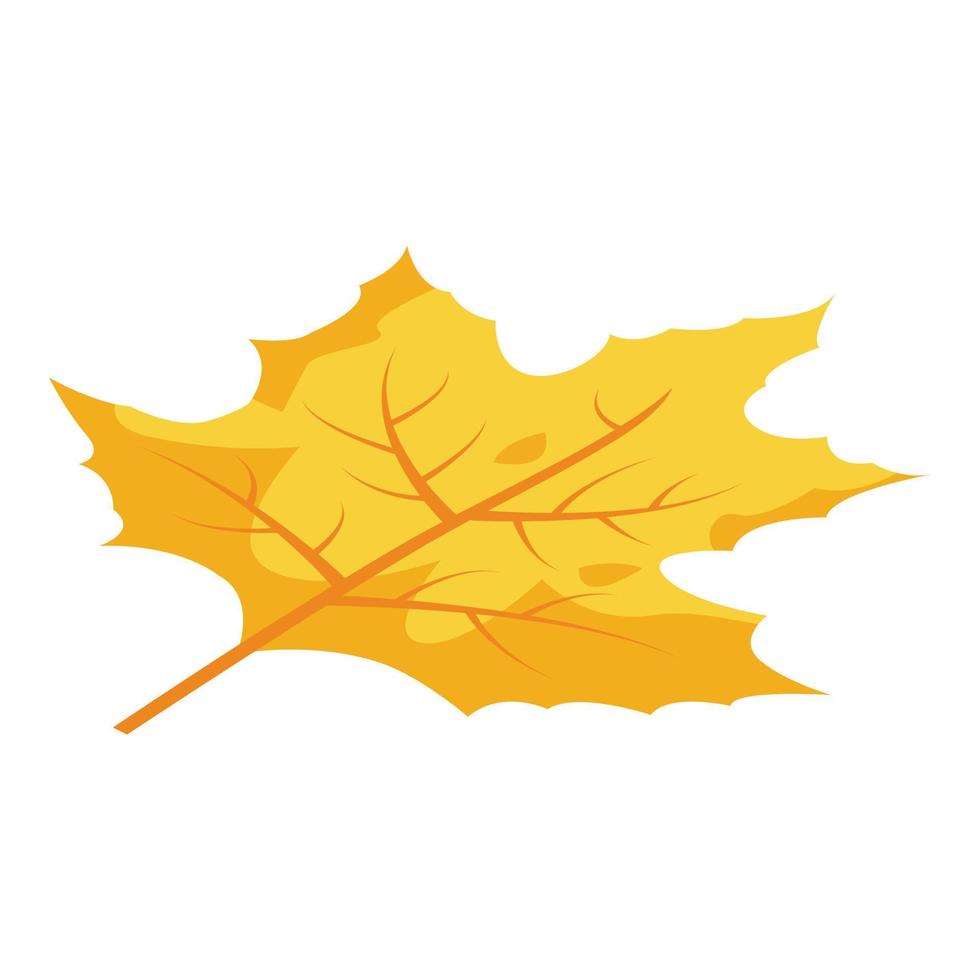 Forest autumn leaf icon, isometric style vector