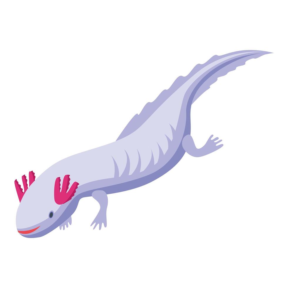 Axolotl amphibia icon, isometric style vector