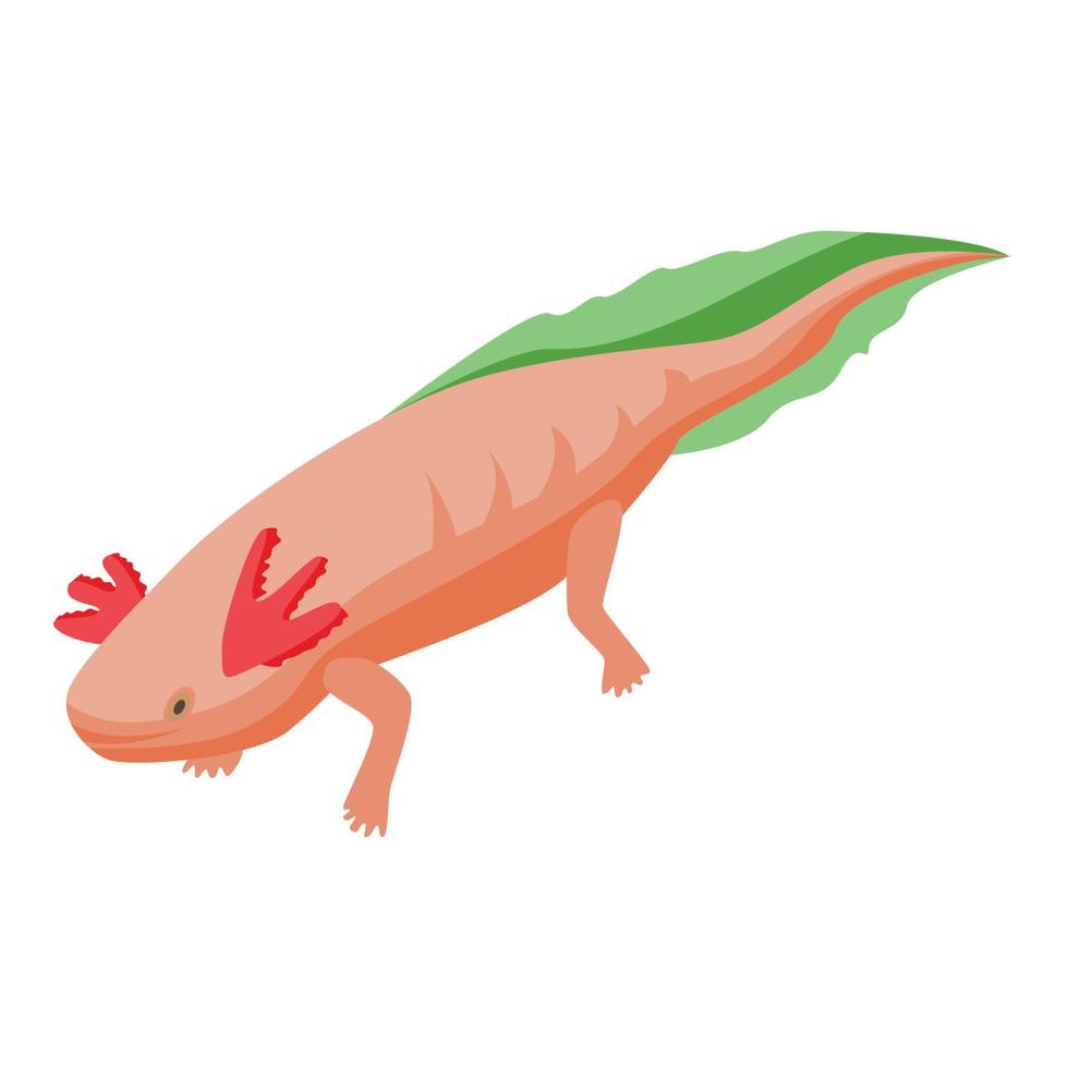 Lake axolotl icon, isometric style vector