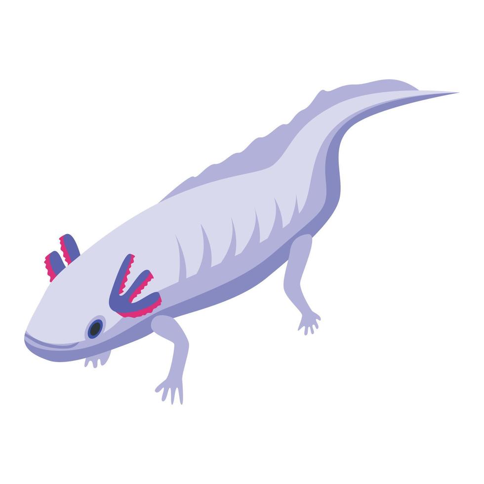 Aquatic axolotl icon, isometric style vector