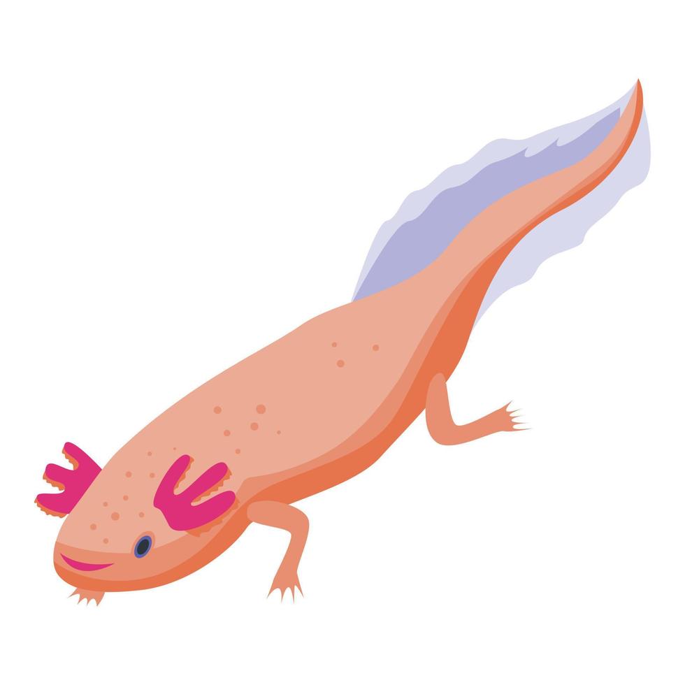 Mexican walking fish icon, isometric style vector