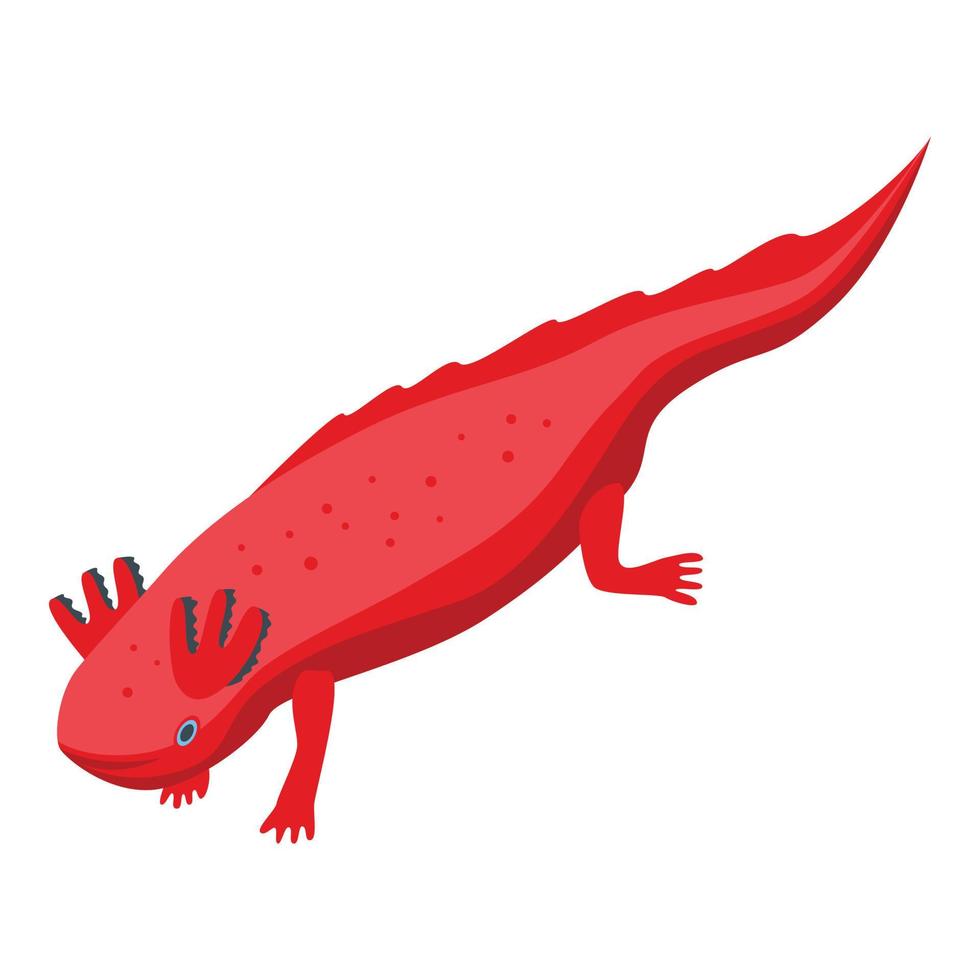 Axolotl species icon, isometric style vector