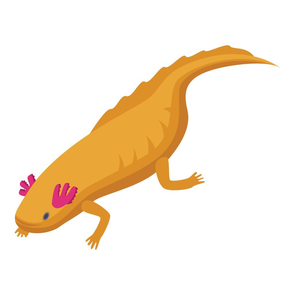 Axolotl fish icon, isometric style vector