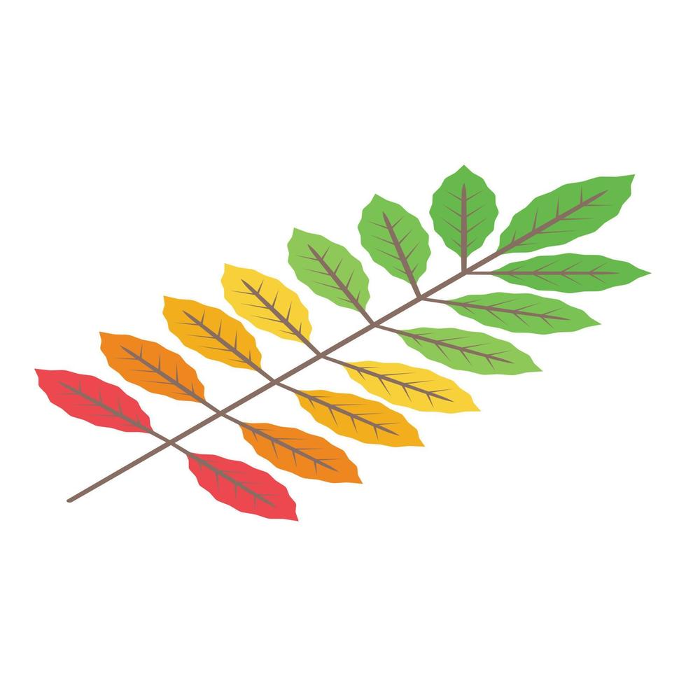 icono de hoja de otoño, estilo isométrico vector