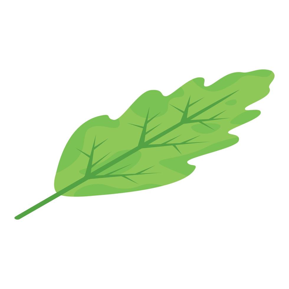 Oak leaf icon, isometric style vector