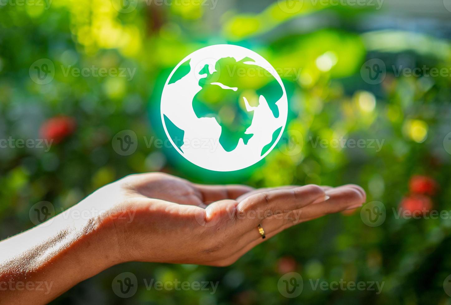 Human hand and model earth icon.Representing helping to save the environment.save world concept. photo