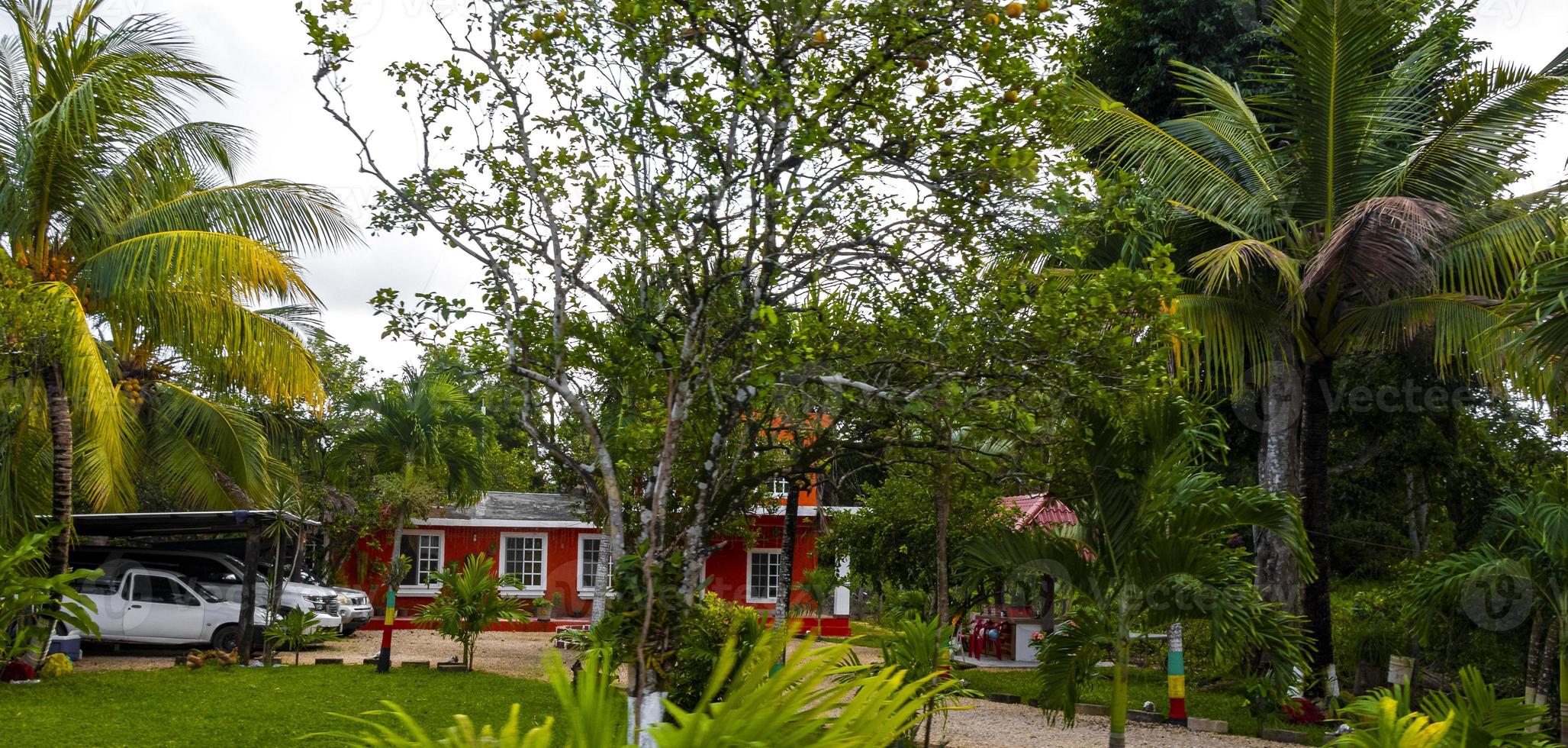 Driving through village Solferino mud and tropical jungle Mexico. photo