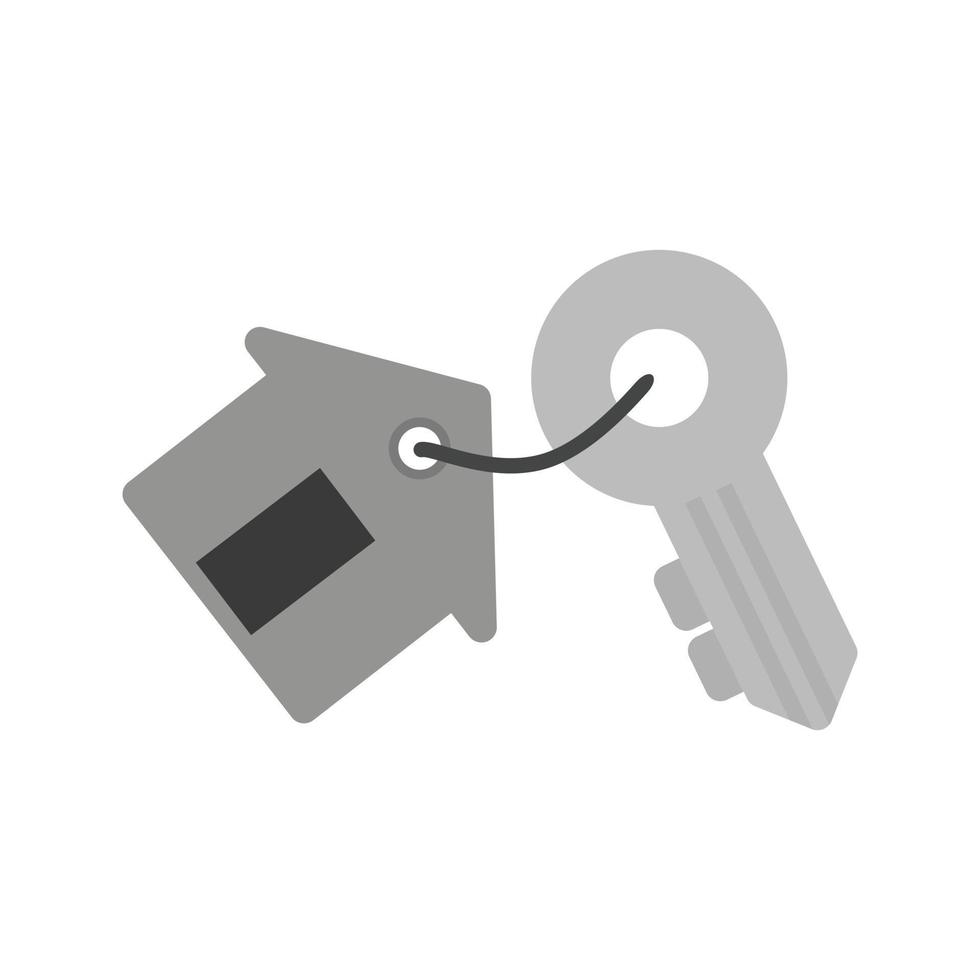 Keys Flat Greyscale Icon vector