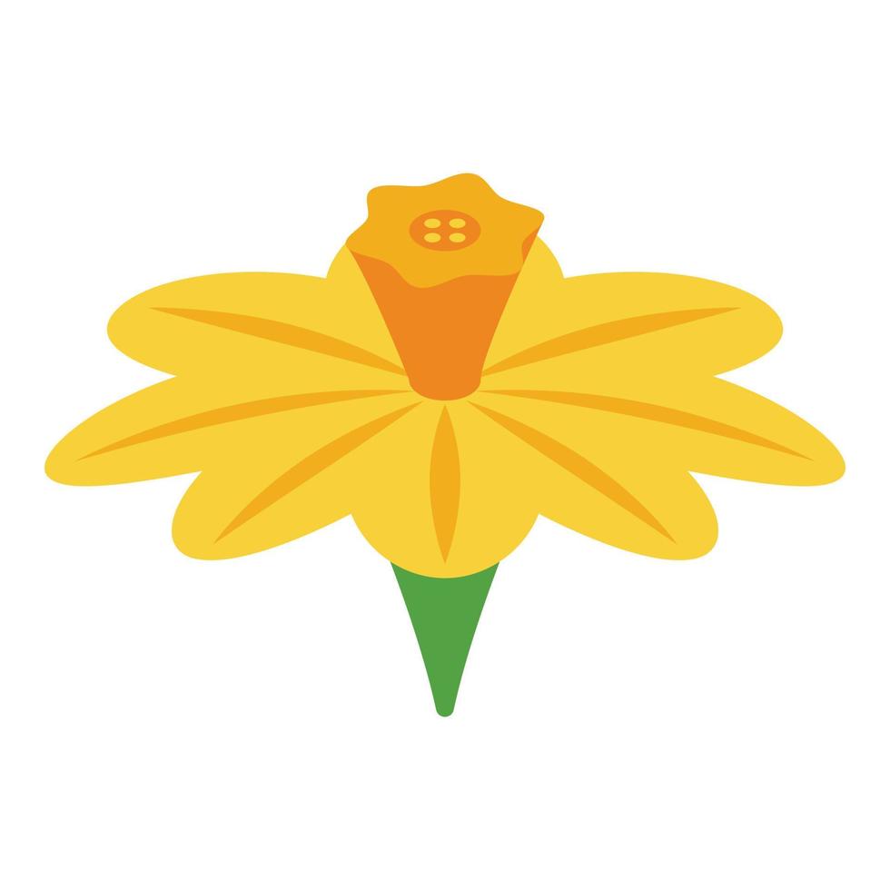 Cinnamon flower icon, isometric style vector