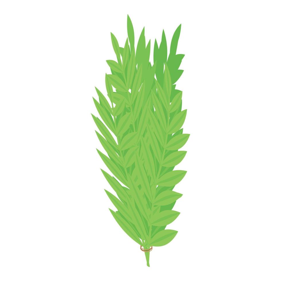 Rosemary branch icon, isometric style vector