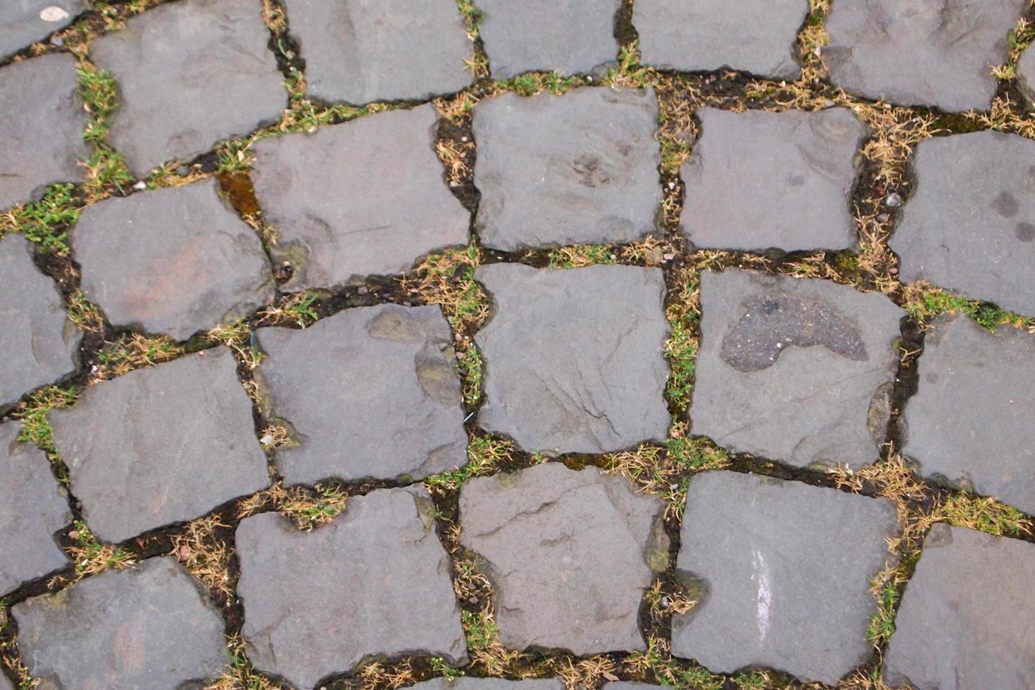 Stone walkway with grass growing in between photo