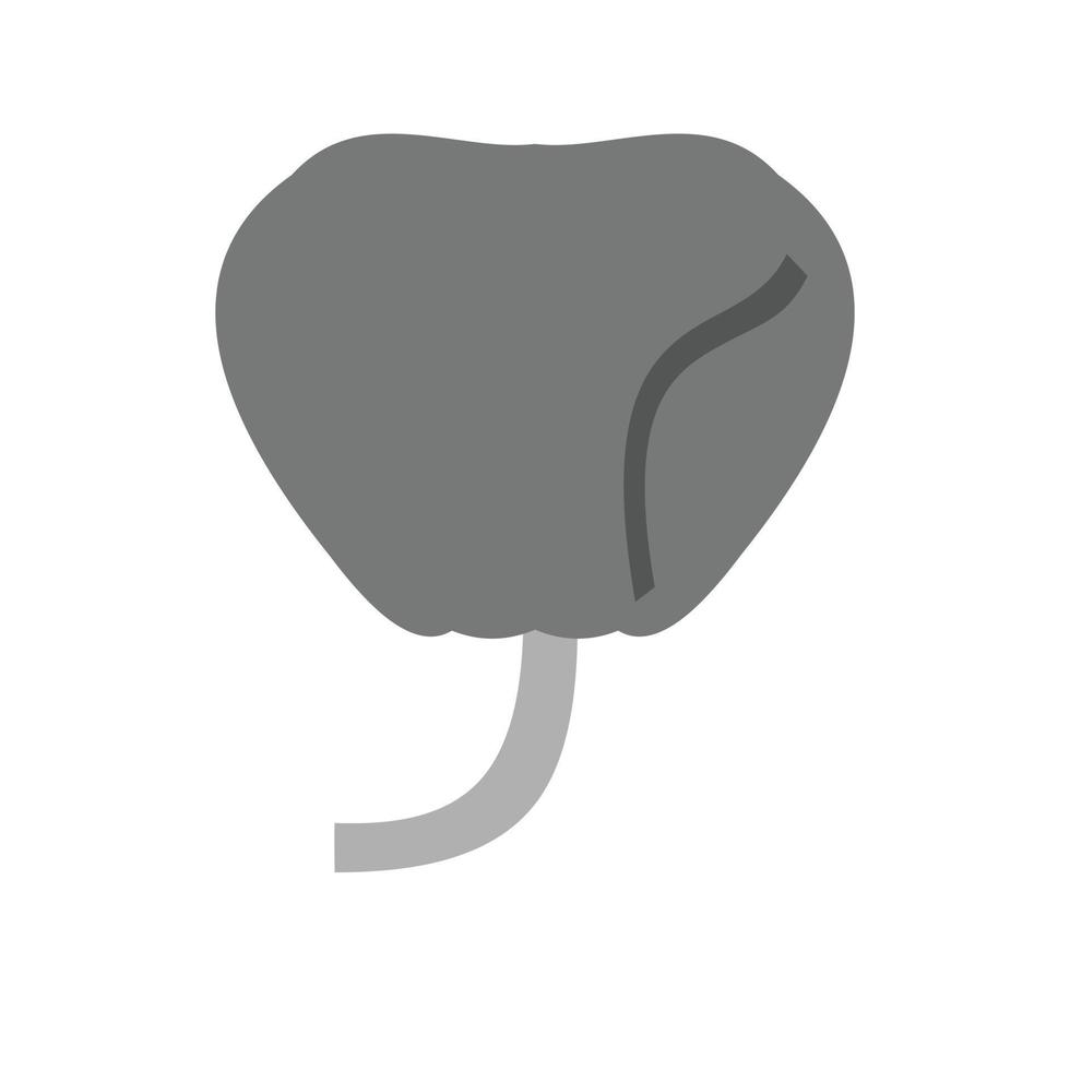 Prostate Flat Greyscale Icon vector