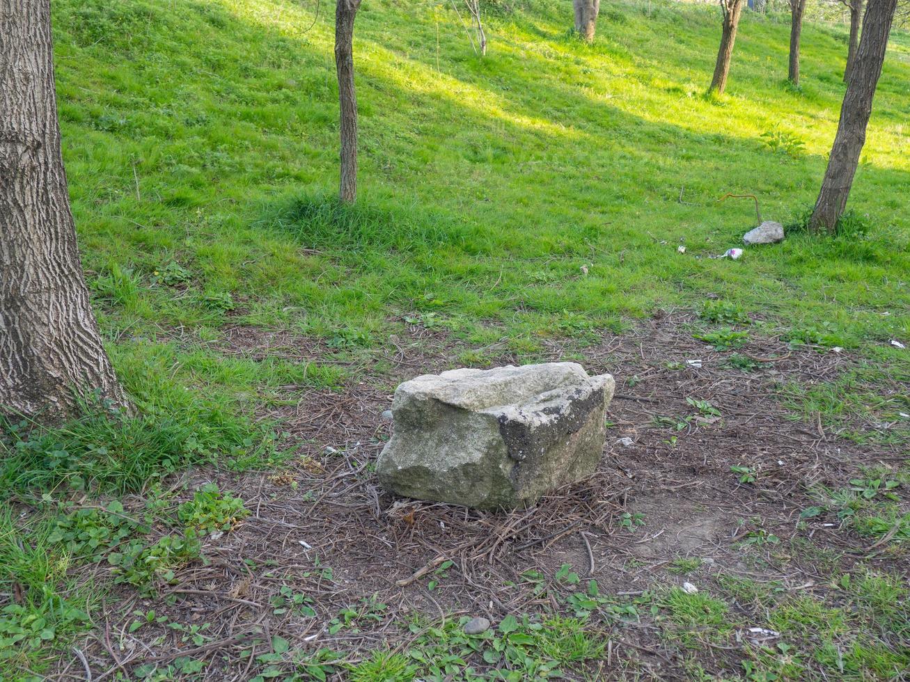 Big boulder in the middle of the forest. Stone in the field. Place of power. photo