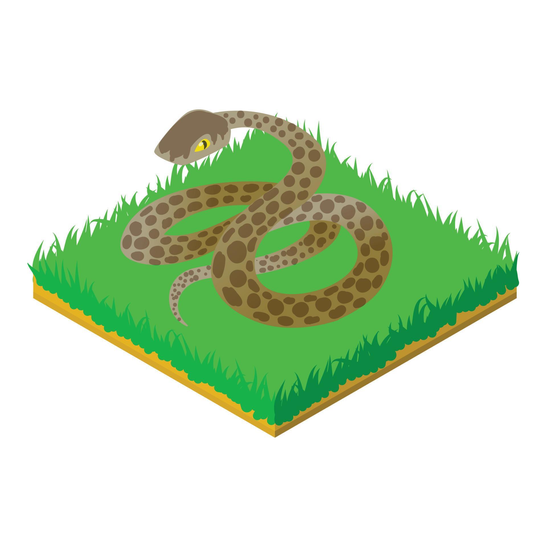 Anaconda icon, isometric style 15654706 Vector Art at Vecteezy