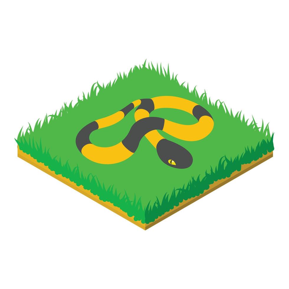Banded krait icon, isometric style vector
