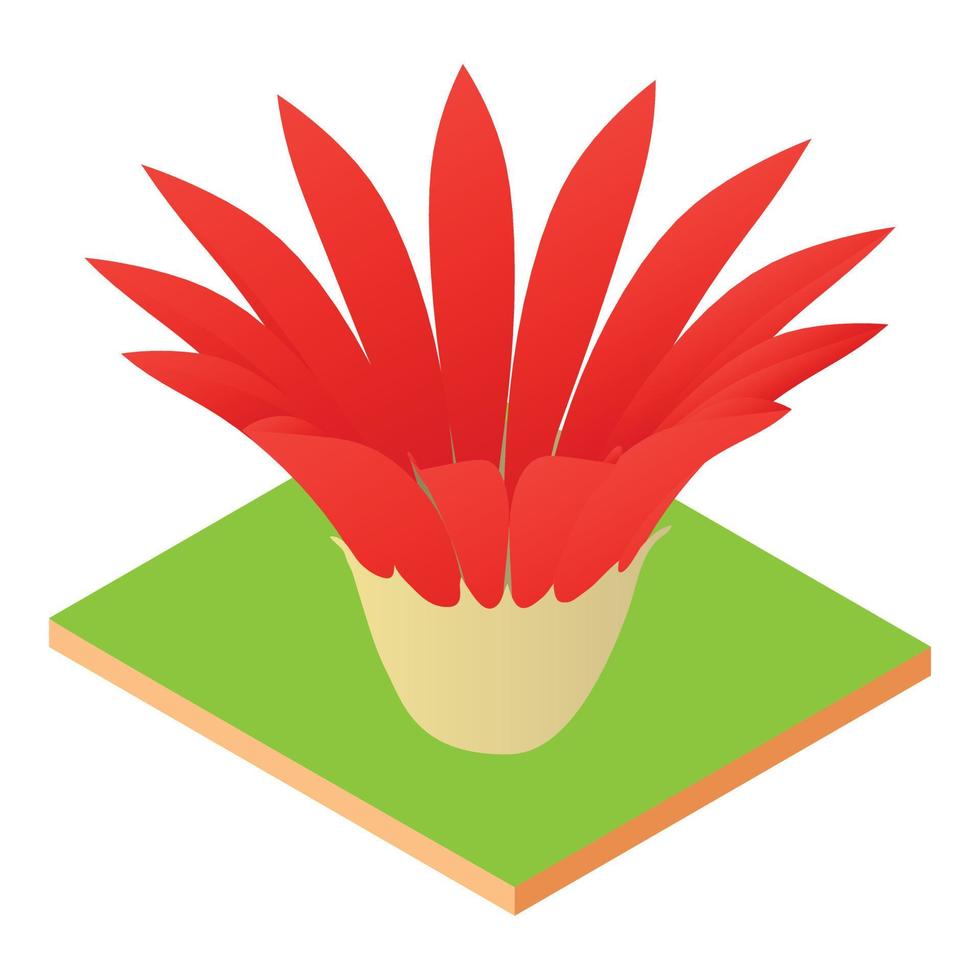 Scarlet flower icon, isometric style vector