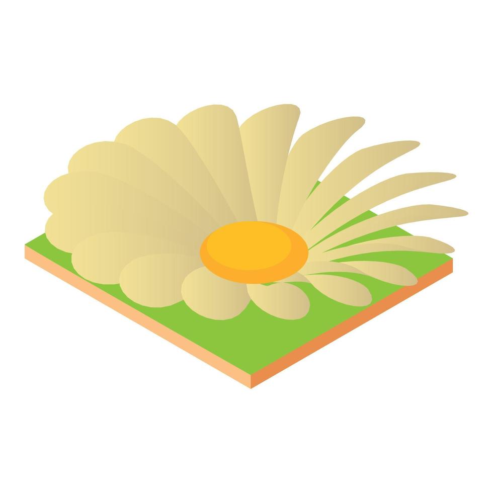 Camomile flower icon, isometric style vector