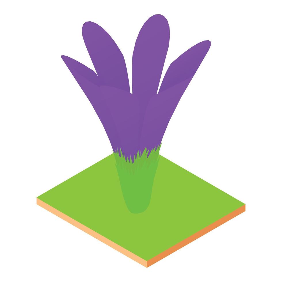 Crocus flower icon, isometric style vector