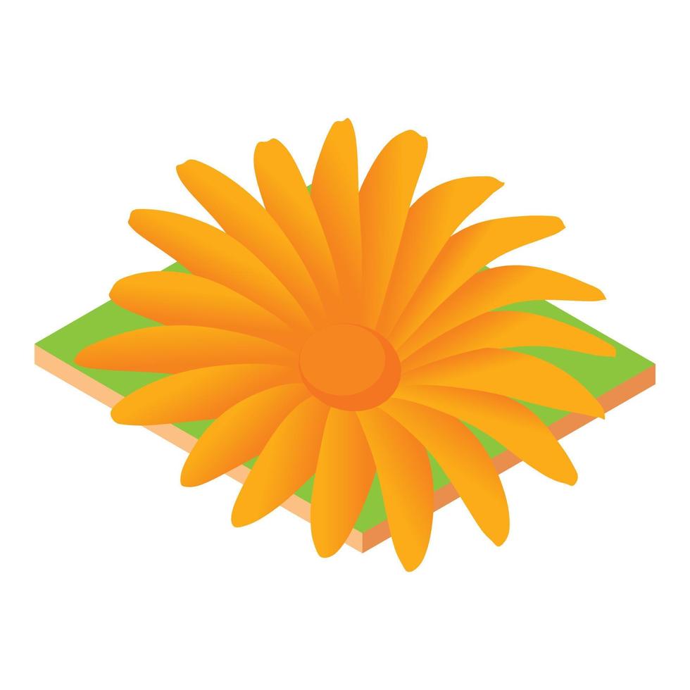 Orange flower icon, isometric style vector