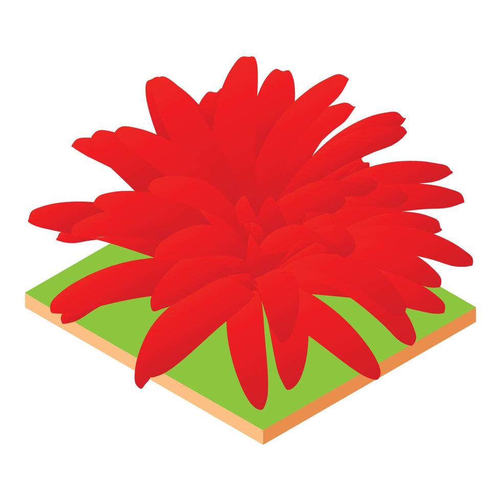 Red aster icon, isometric style vector