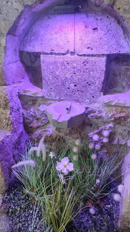 Stone fountain with purple lighting and flowers photo