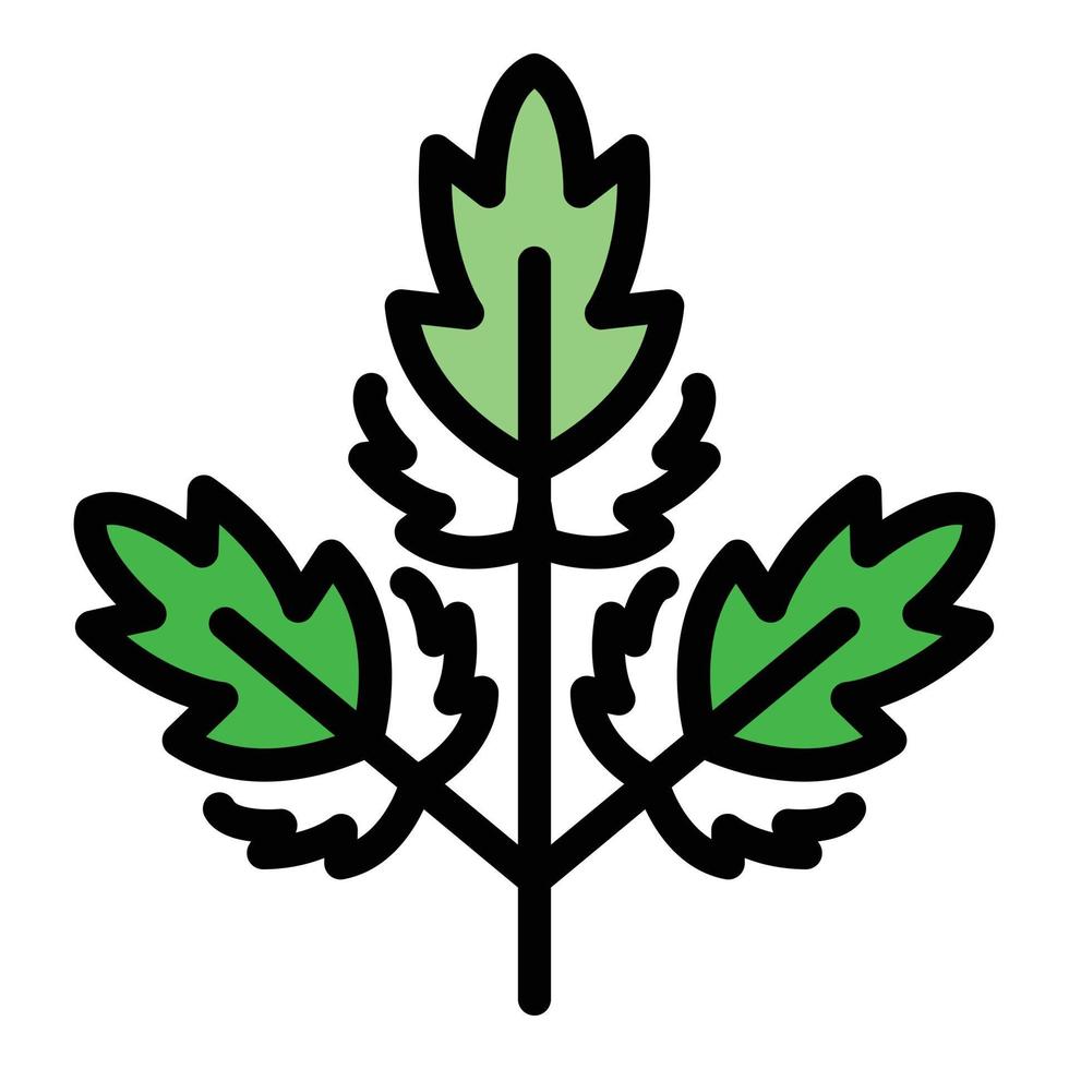 Parsley ingredient icon color outline vector