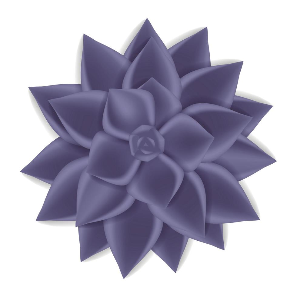 icono suculento violeta, estilo realista vector