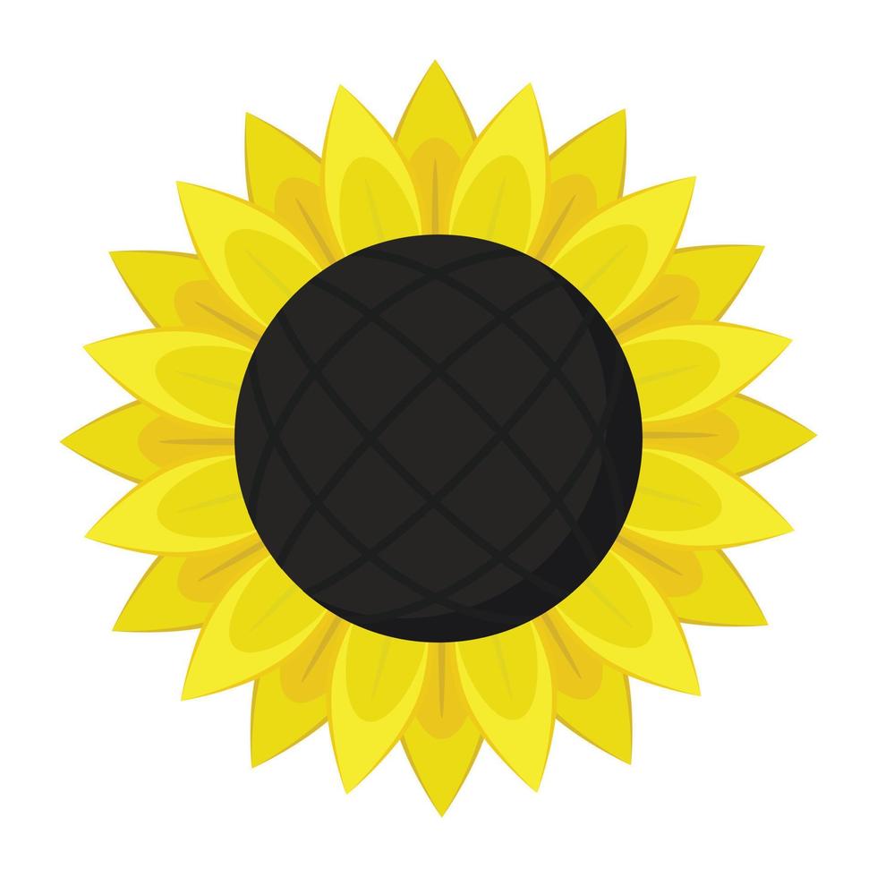 Sunflower icon, flat style vector