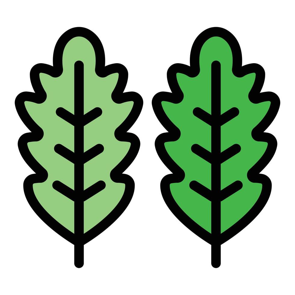 Bio arugula icon color outline vector