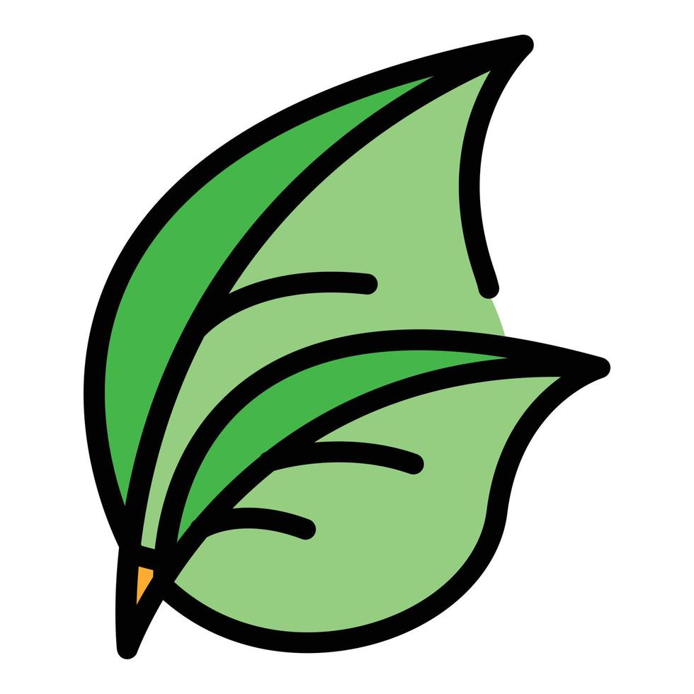 Basil herb icon color outline vector