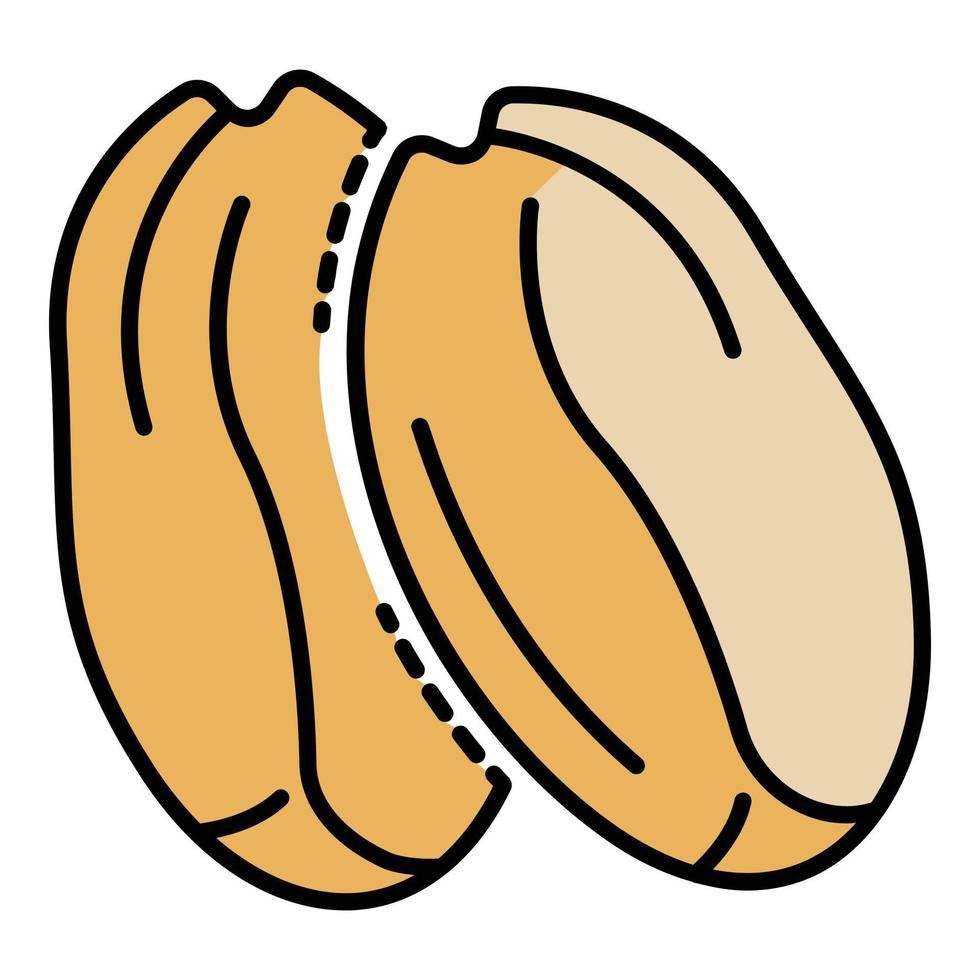 Tasty peanut icon color outline vector