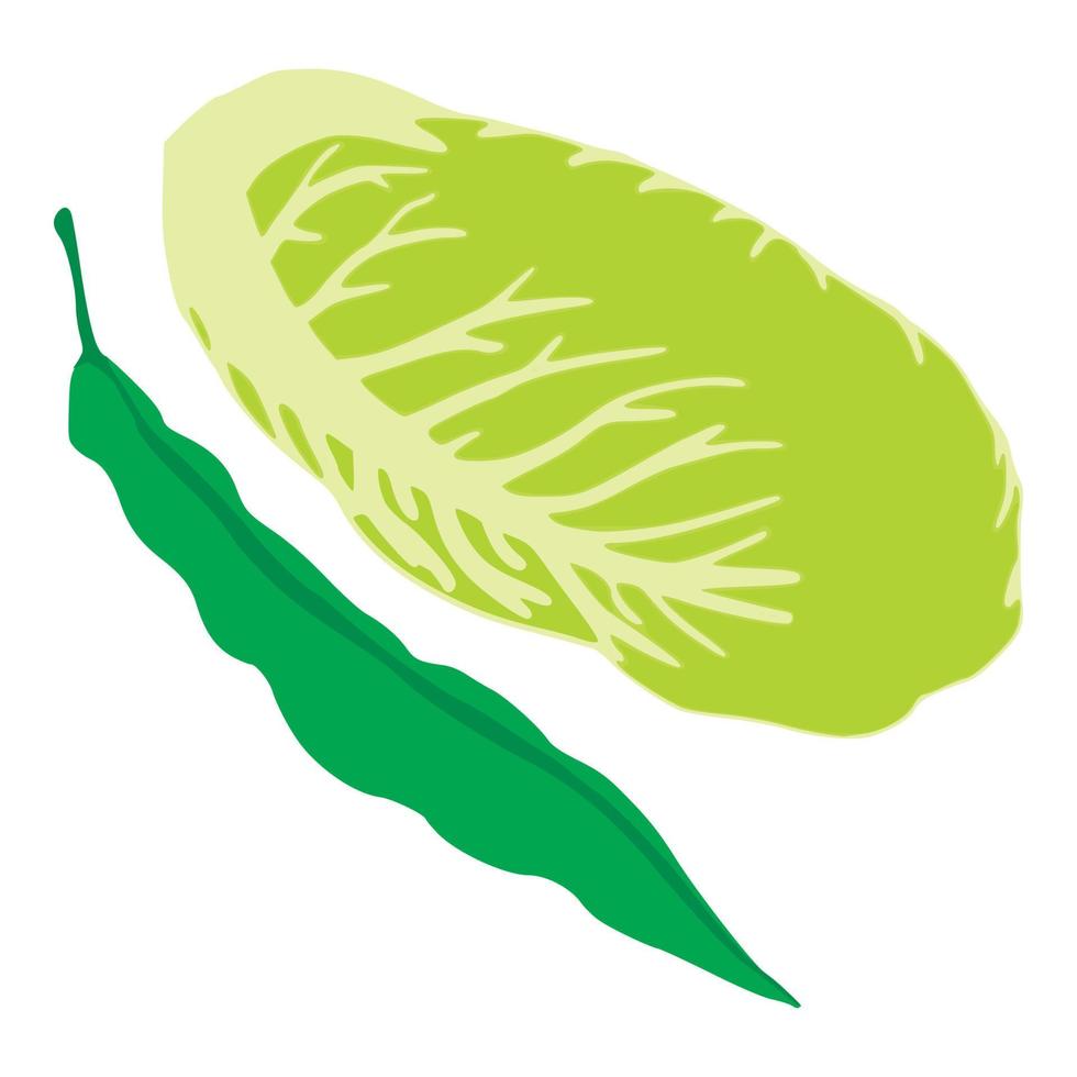 Green food icon, isometric style vector