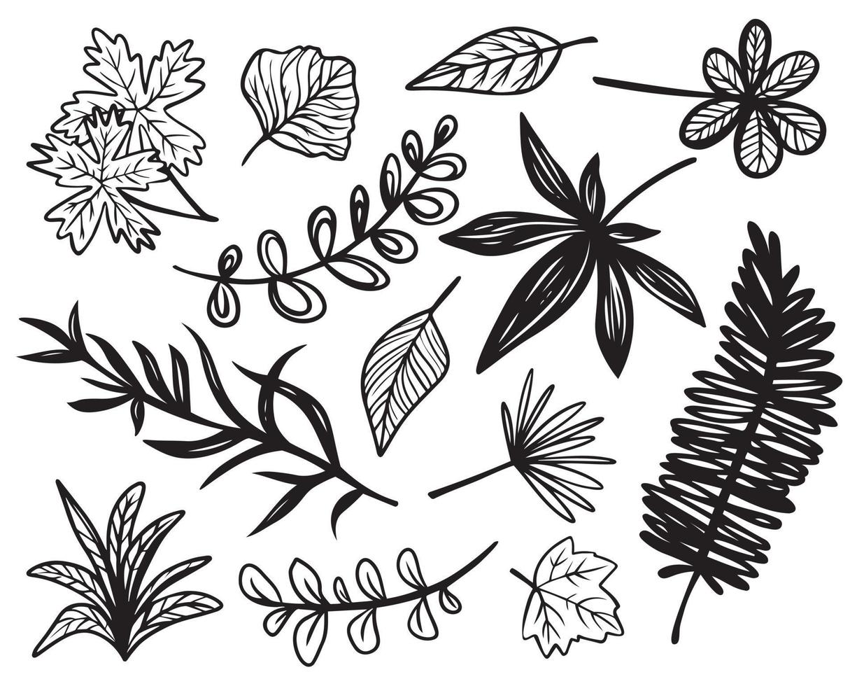 Set of vector doodle sketch of different plants, branches and leaves. Set of graphic illustrations decorative floral elements