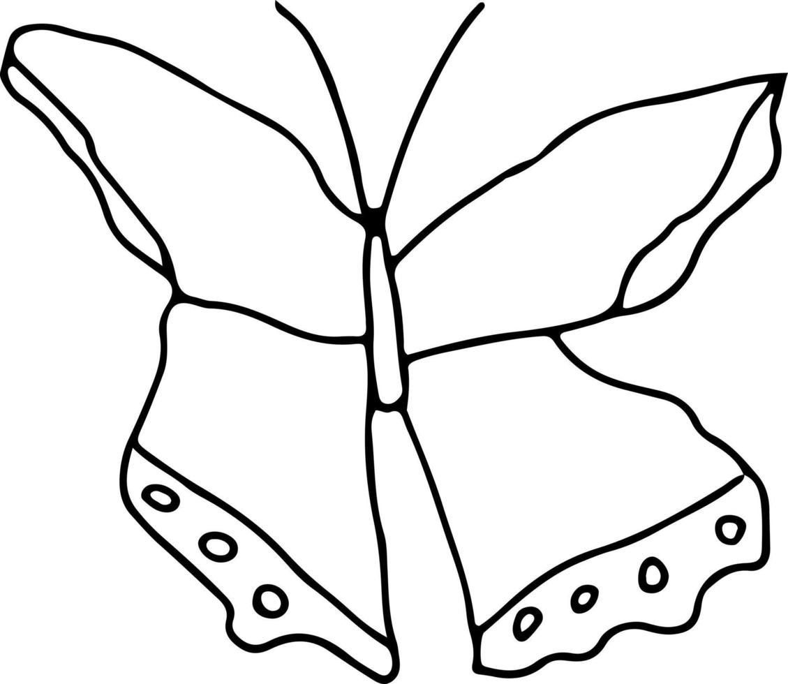 Latest butterfly hand drawn design vector