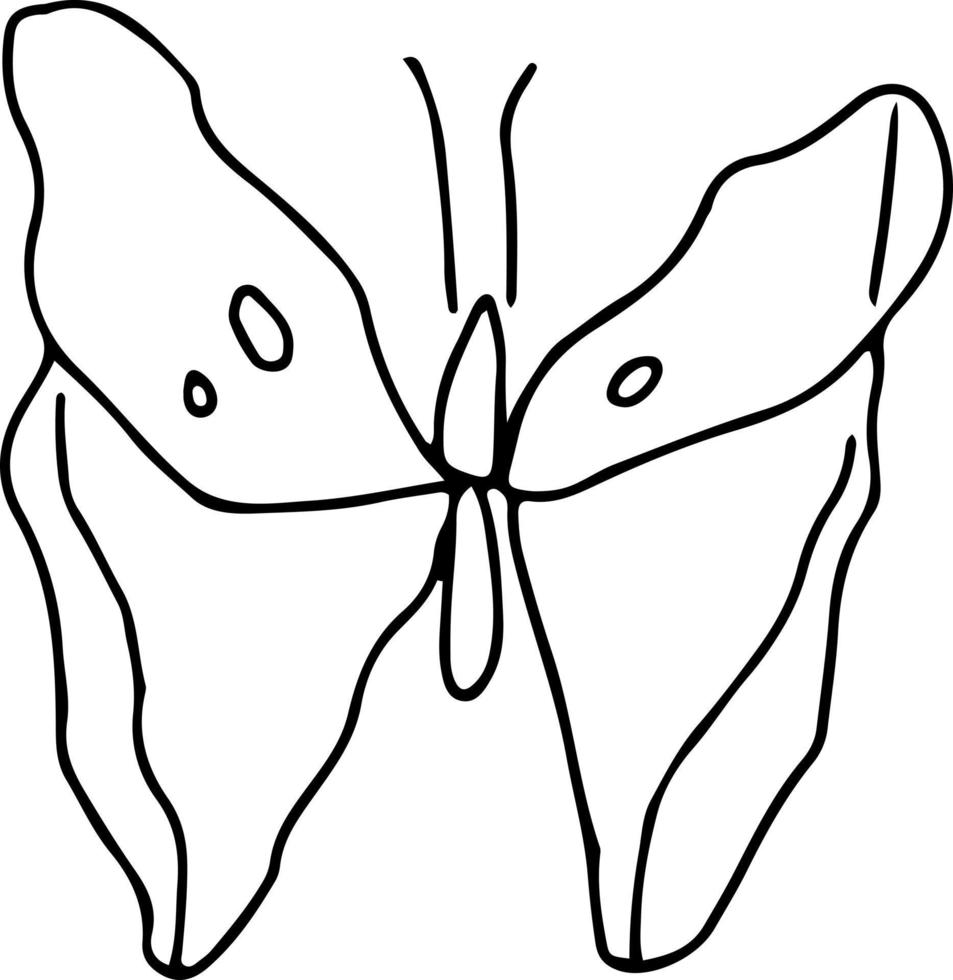 último diseño dibujado a mano de mariposa vector