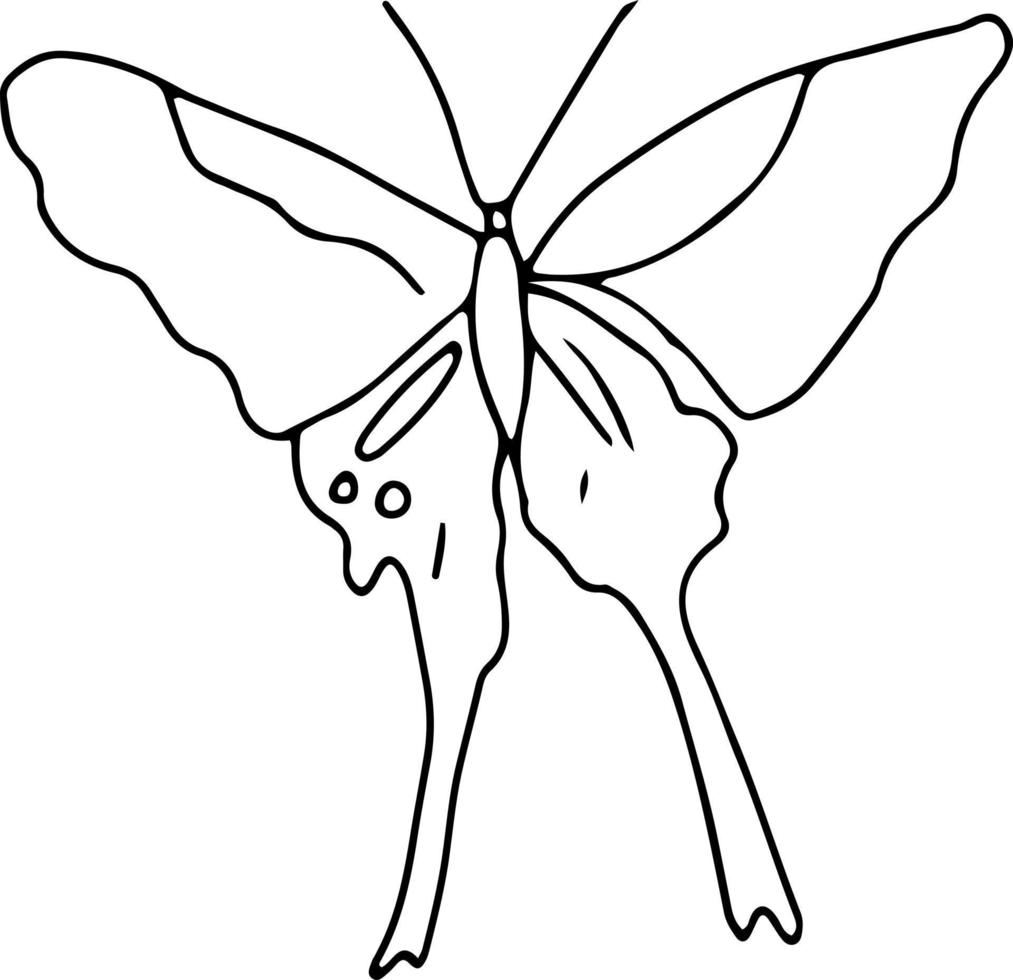 Latest butterfly hand drawn design vector