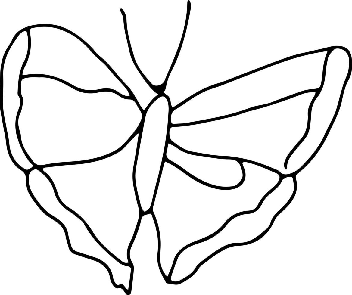 Latest butterfly hand drawn design vector