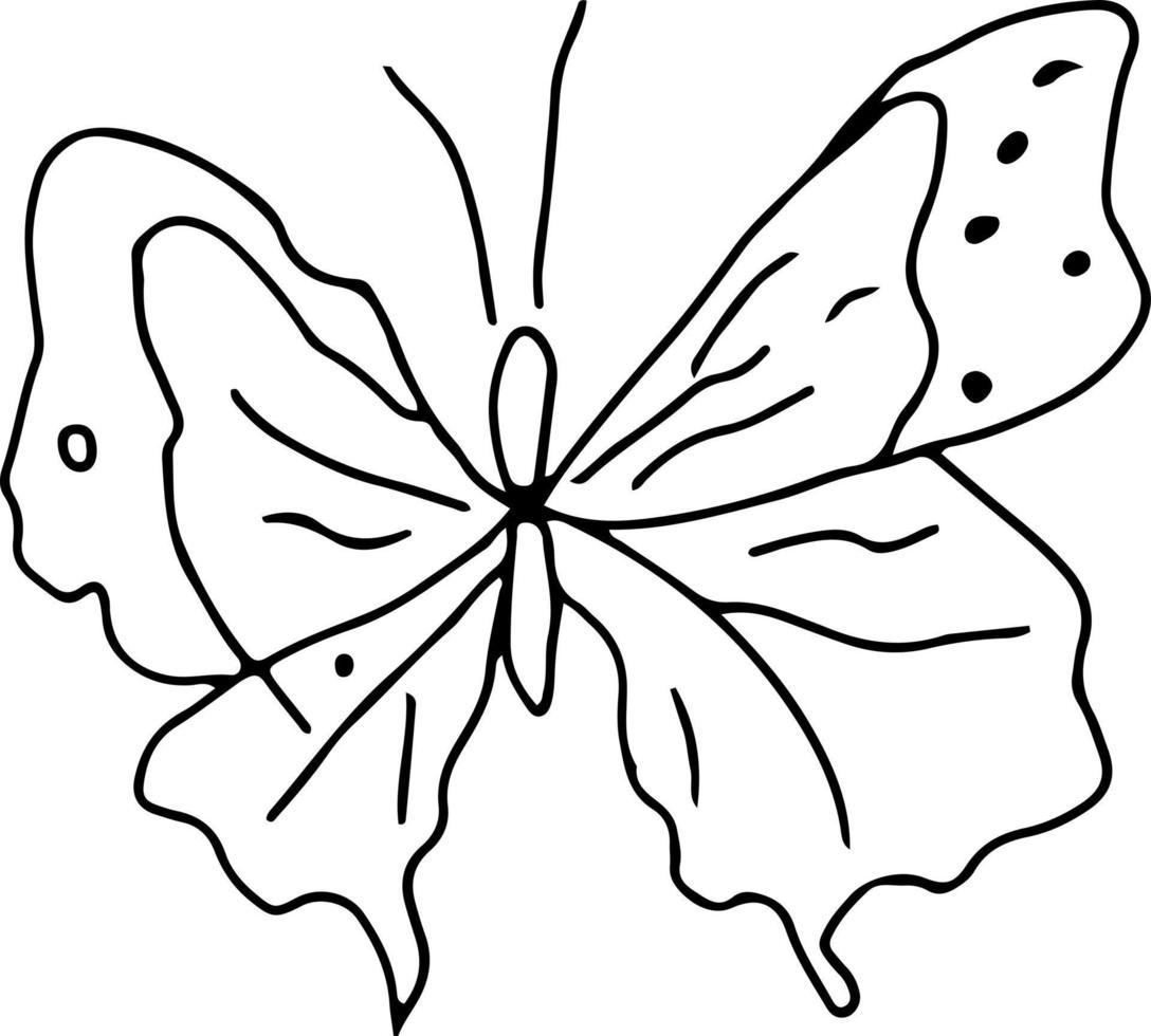 último diseño dibujado a mano de mariposa vector