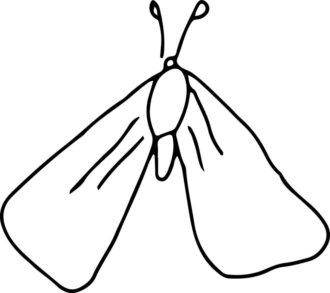 Latest butterfly hand drawn design vector
