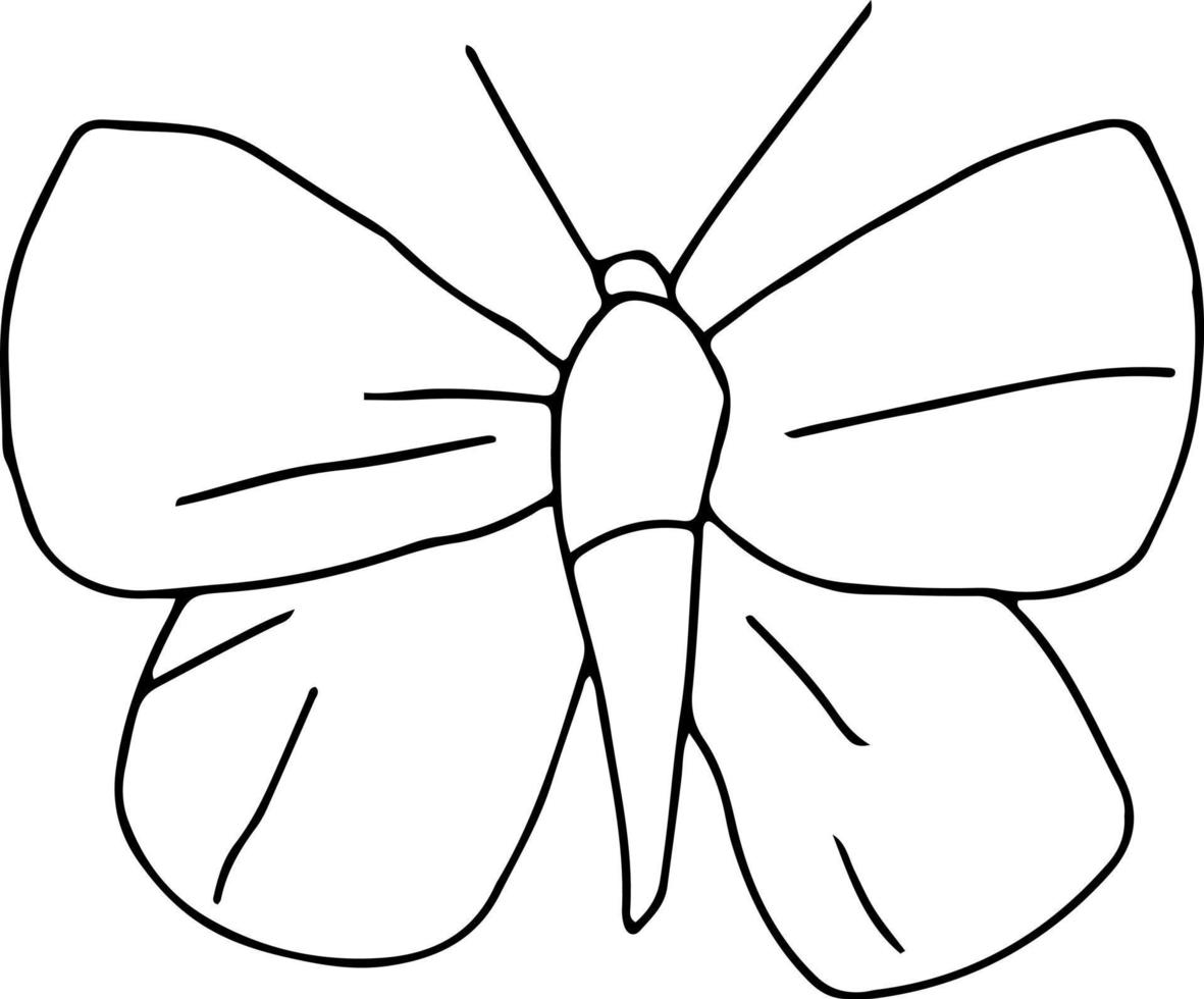 Latest butterfly hand drawn design vector
