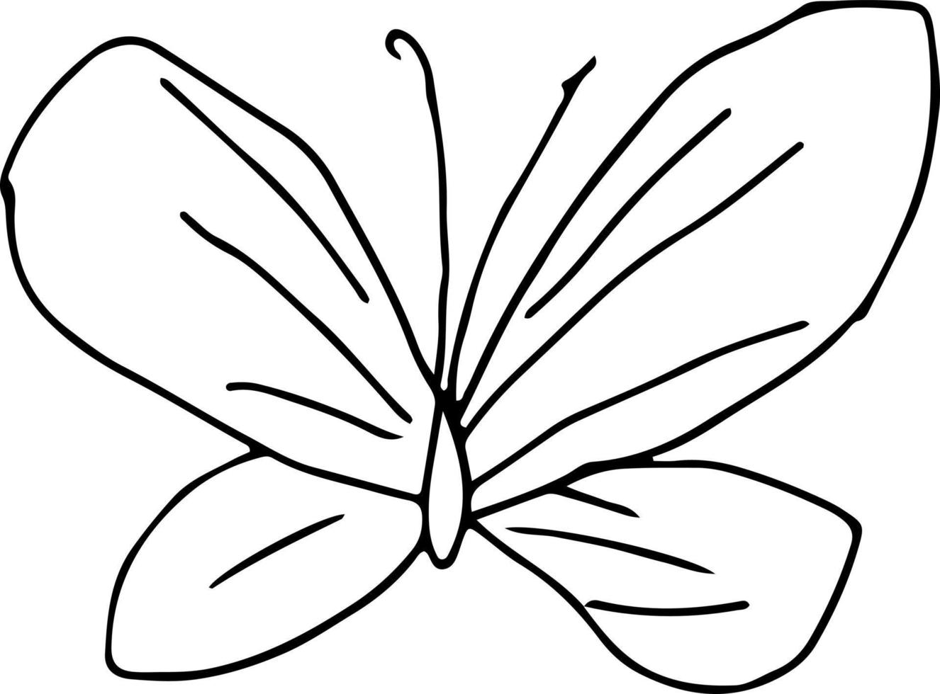 último diseño dibujado a mano de mariposa vector