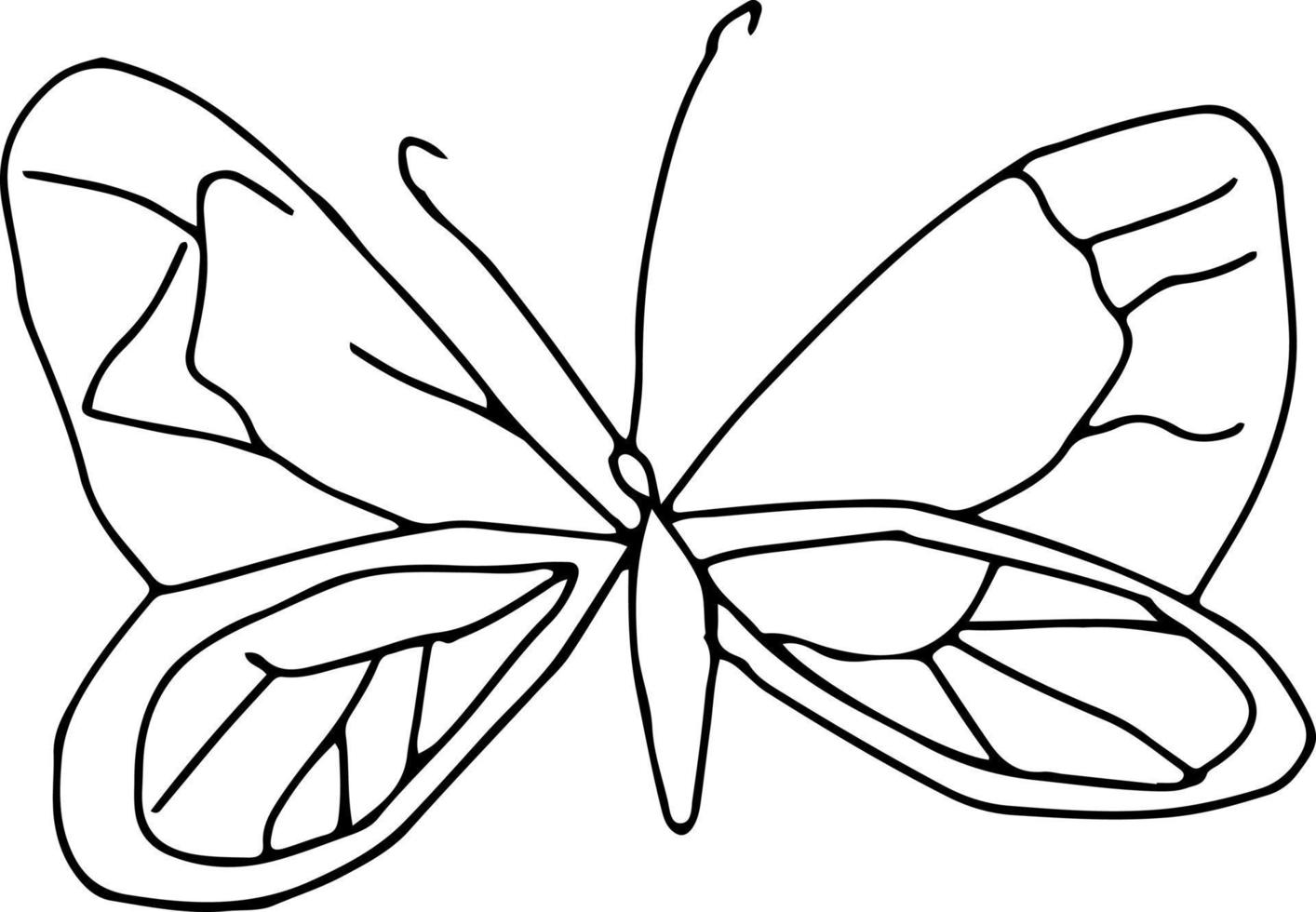 Latest butterfly hand drawn design vector
