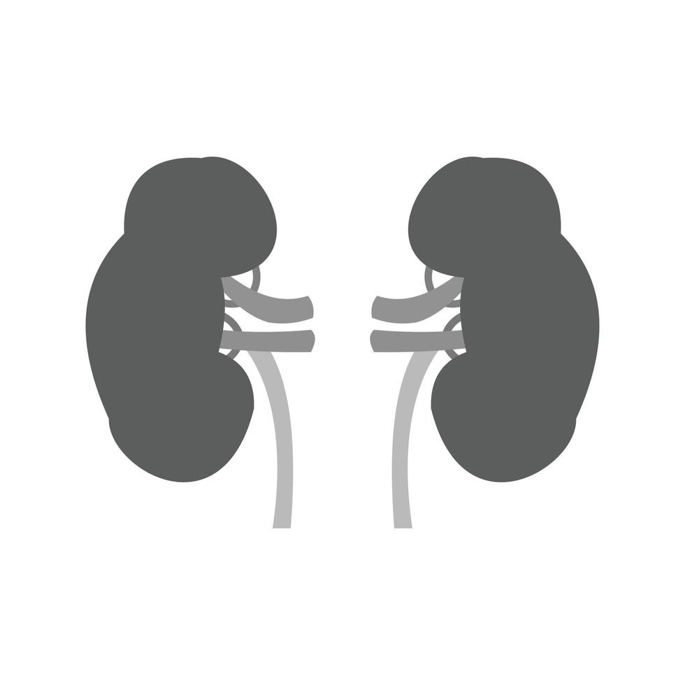 Kidneys Flat Greyscale Icon vector