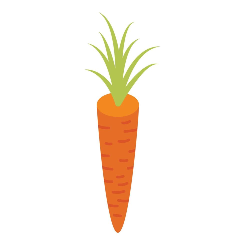Orange carrot icon, isometric style vector