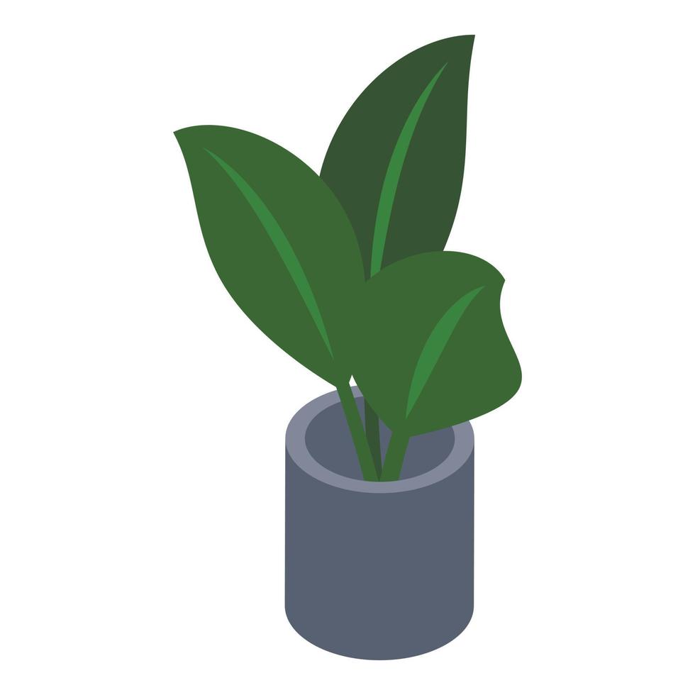 Office plant pot icon, isometric style vector