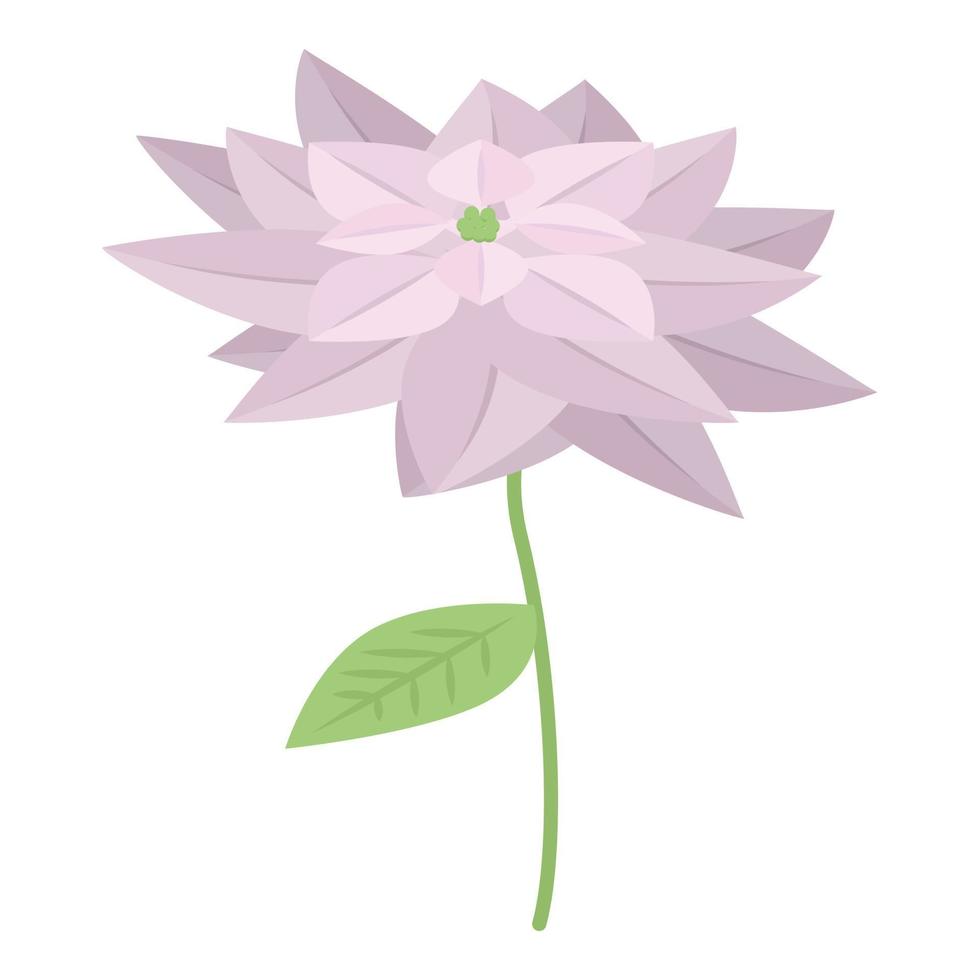 Poinsettia icon, isometric style vector