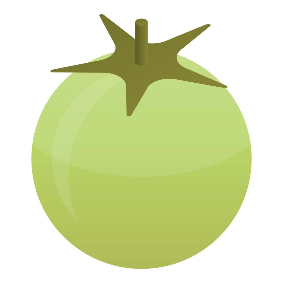 Green tomato icon, isometric style vector